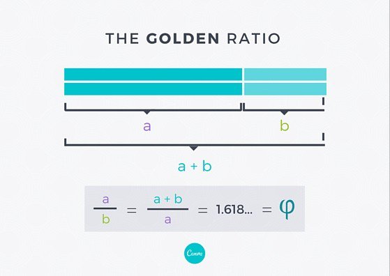 �W(w��ng)�(y��)�O(sh��)Ӌ(j��)������\(y��n)���S�������