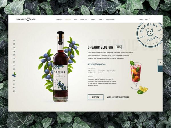 �@�N���������I(y��)���O(sh��)Ӌ(j��)�W(w��ng)퓕r(sh��)�x����ɫ�İ˂�(g��)Ҫ�c(di��n)